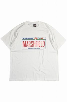 90s　FRUIT　OF　THE　LOOM　BEST　スーベニアプリントTシャツ